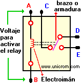 Rel� / relay: composici�n interna  -  Electr�nica Unicrom